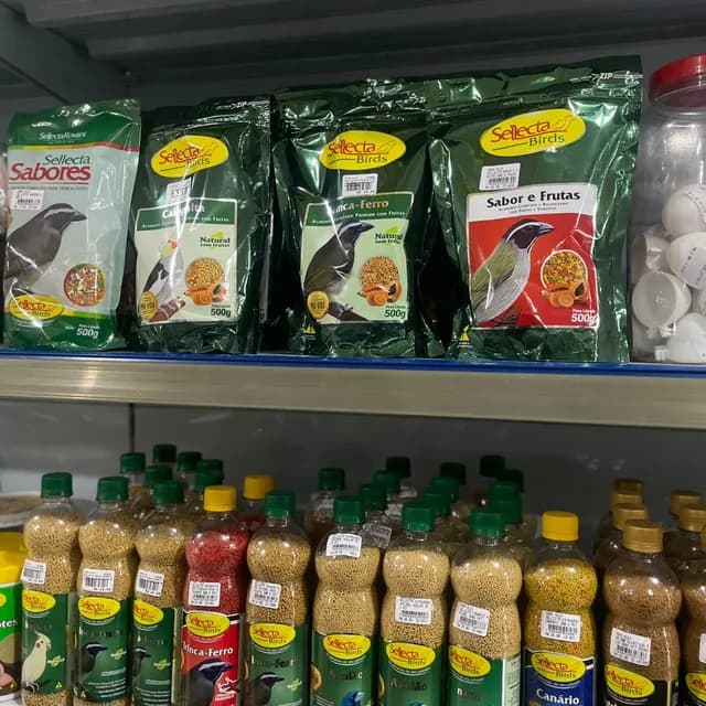 Aves e passarinhos na Agropecuária Agro Alex